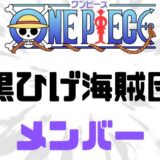 ワンピース黒ひげ海賊団メンバー能力