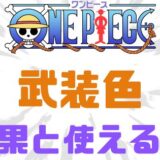 武装色覇気効果使える人