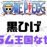 ワンピース黒ひげドラム王国なぜ
