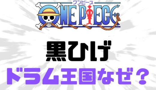 ワンピース・黒ひげはなぜドラム王国を襲い滅ぼしたのか？