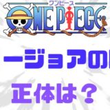 ワンピースマリージョア国宝正体