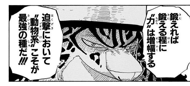 ワンピース悪魔の実動物系