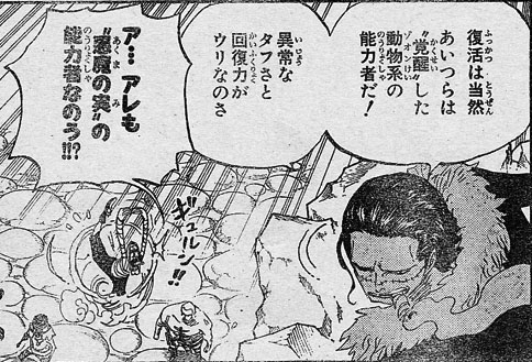 ワンピース悪魔の実ゾオン系