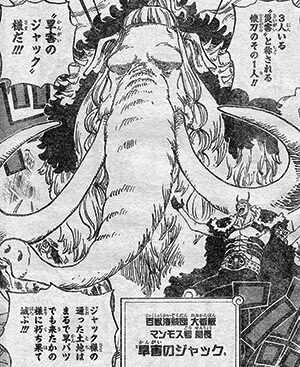 ワンピース動物系悪魔の実ジャック