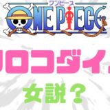 ワンピースクロコダイル女説
